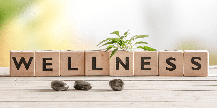 Wellness spelled with blocks with small stones in the foreground